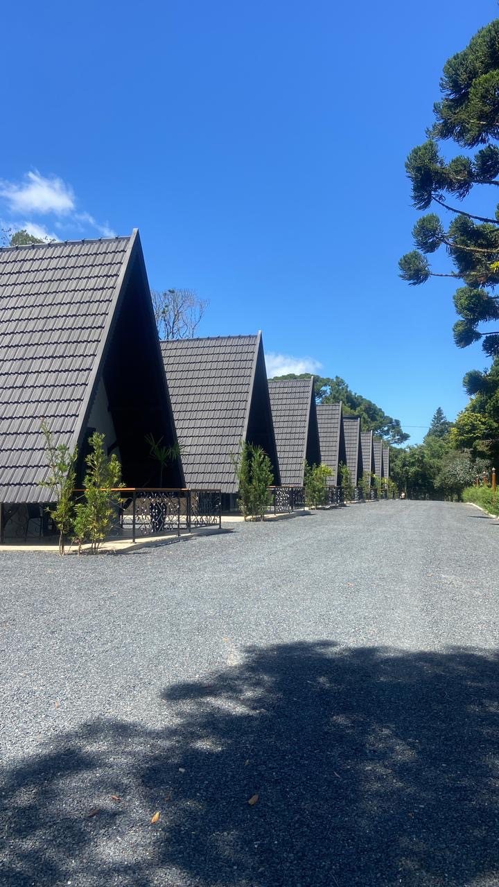 Alameda com a fileira de chalés do Vila Verde e as araucárias ao lado