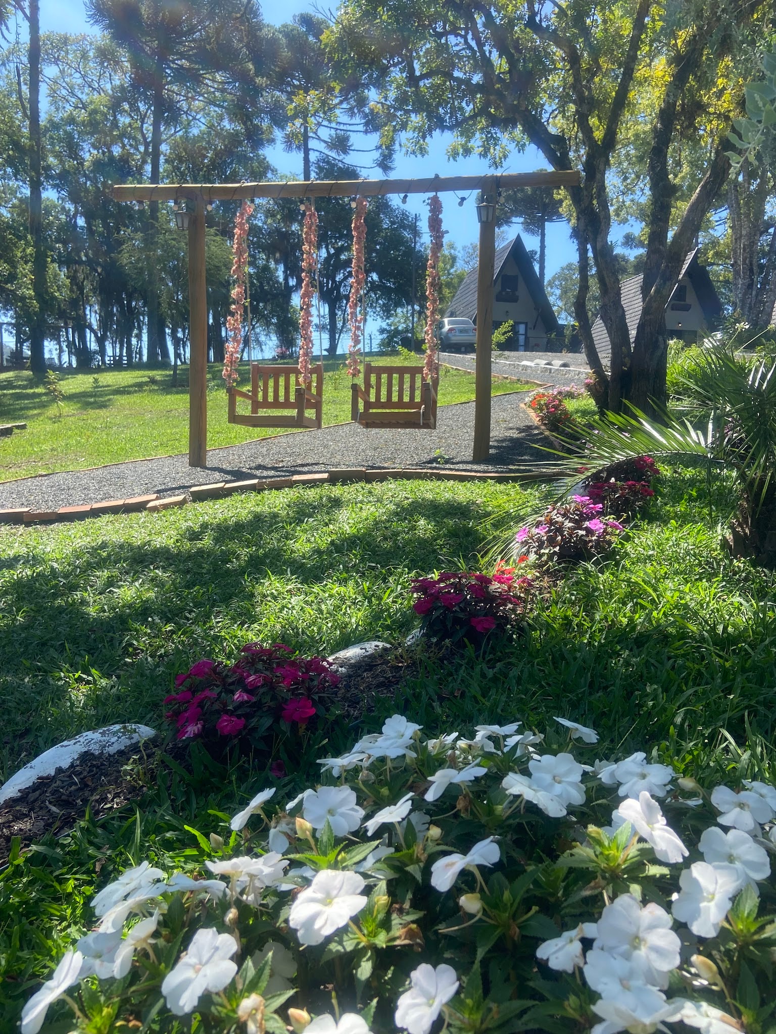 Canteiro de flores brancas e roxas com o pergolado do jardim ao fundo