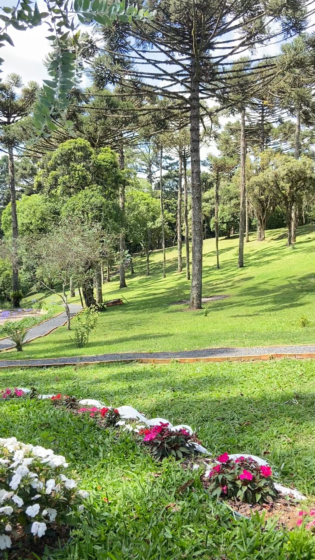 Jardim do Hotel Vila Verde, com gramado e canteiros floridos