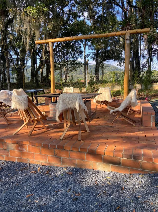 Área externa com mesas e cadeiras de pele entre araucárias